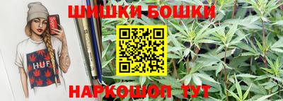 spice Новодвинск