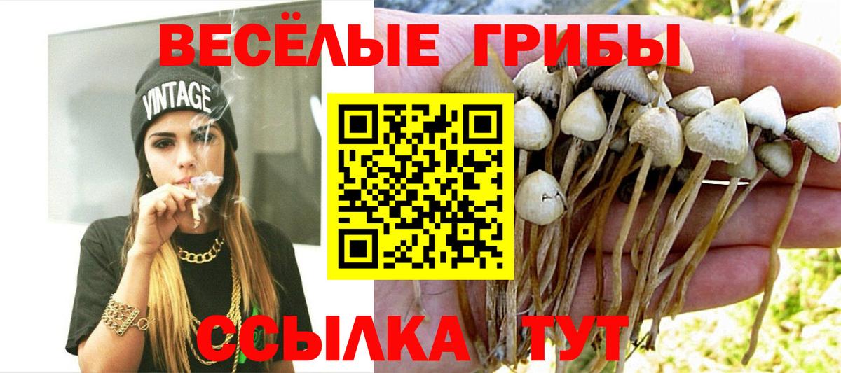 Псилоцибиновые грибы мицелий  Вход с VPN  Бахчисарай  Псилоцибиновые грибы Psilocybine cubensis 